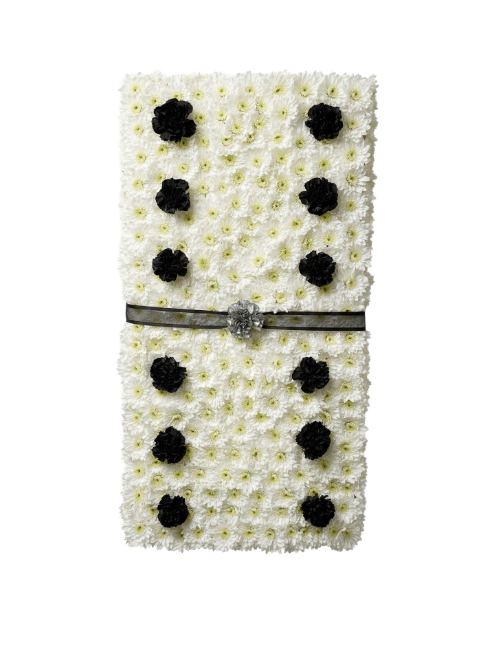 PL-18 Dominó