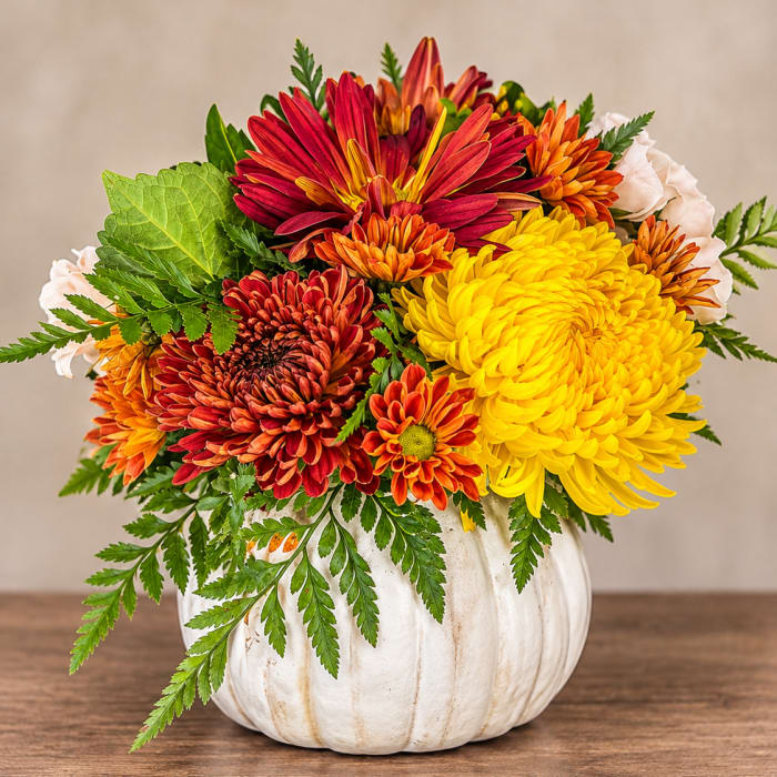Brians Choice Fall Pumpkin