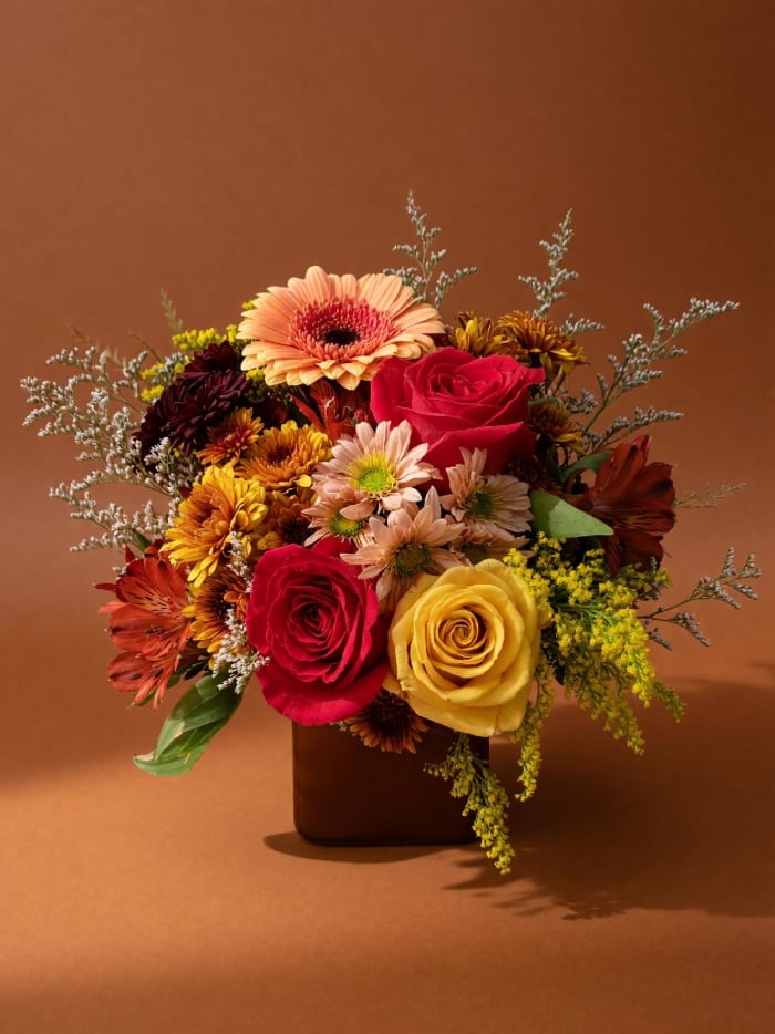 Genn H Fall Brights