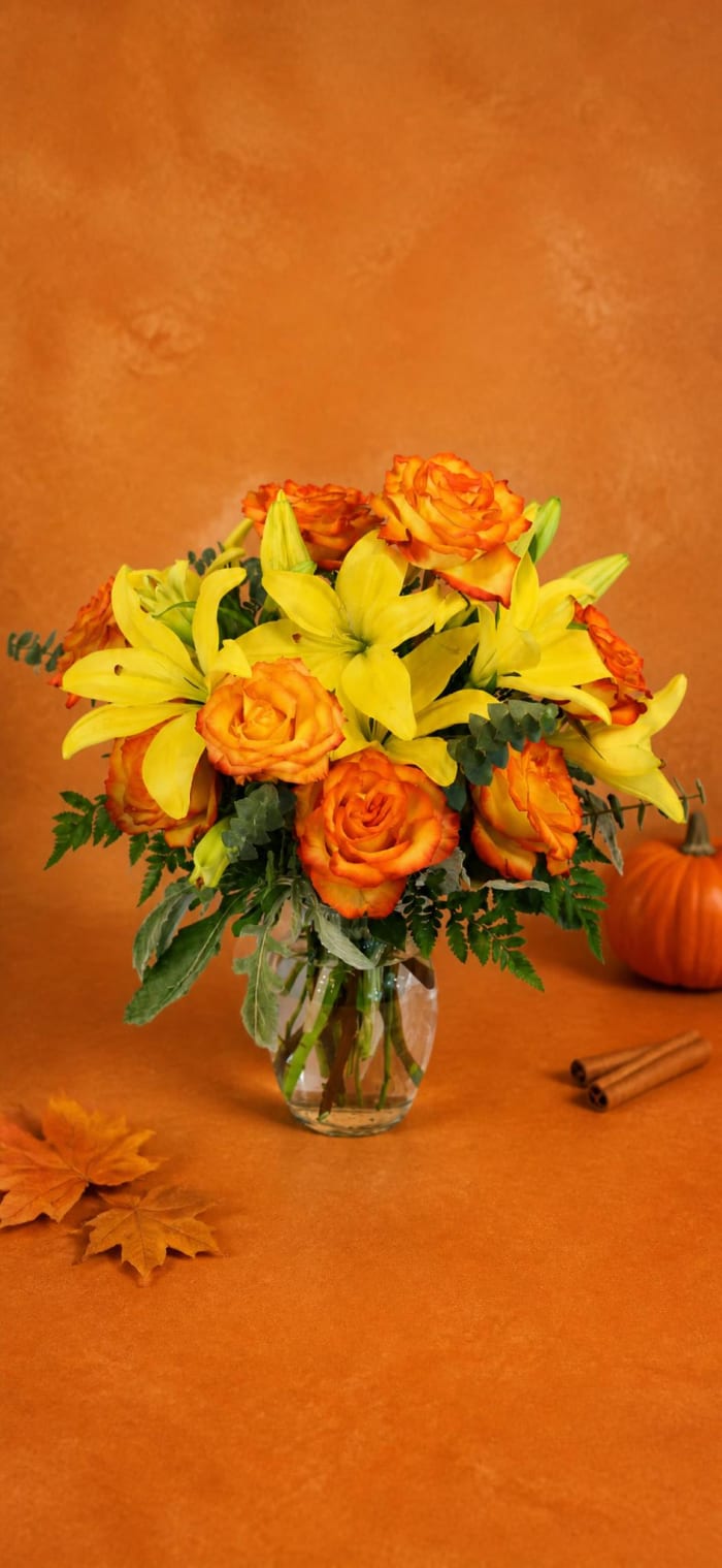FSN Vivid Amber