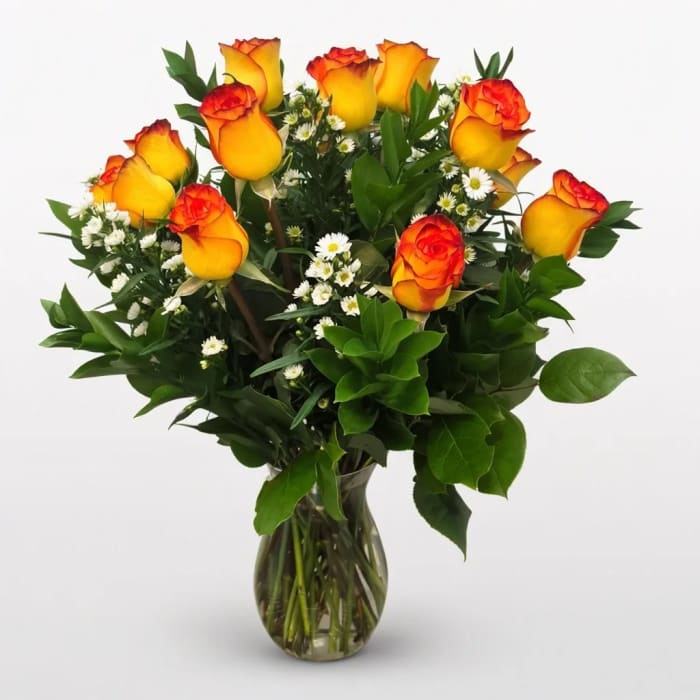 Dz. High and Magic Premium Roses
