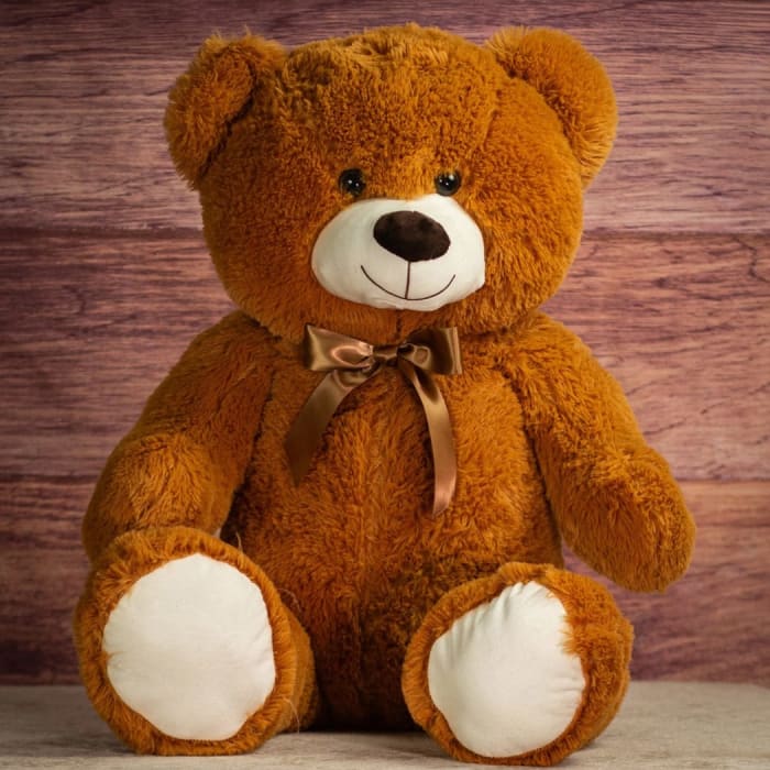 GAP9937 - Big Hug Teddy