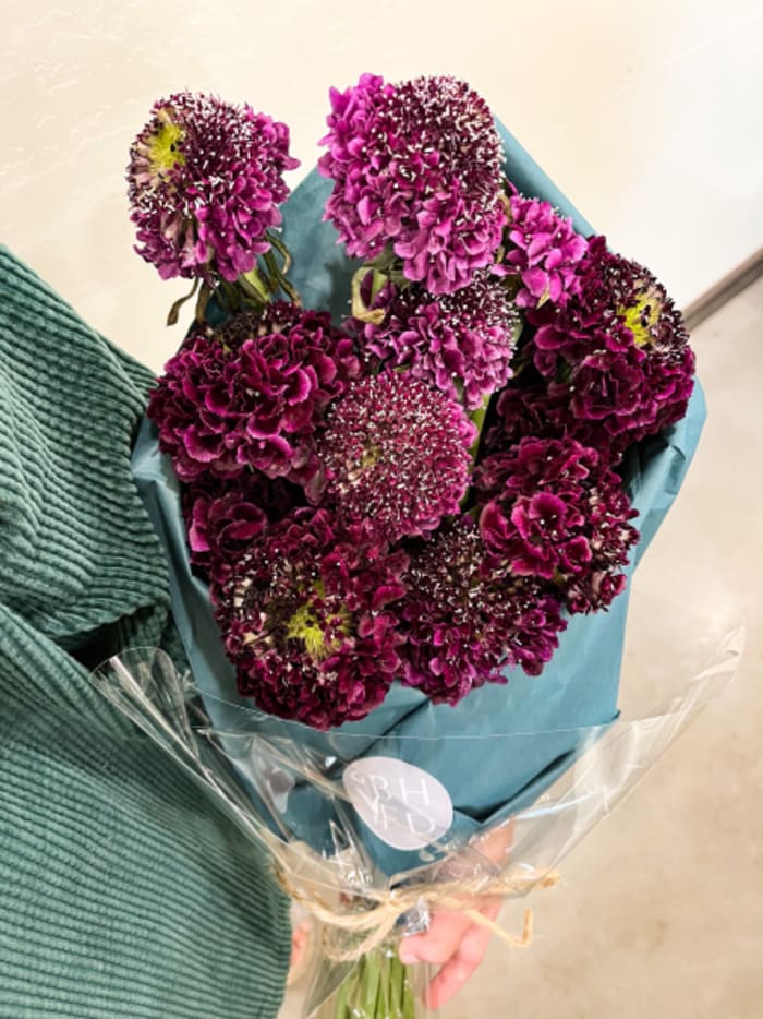 Scabiosa Scoops Flower Delivery AZ Blume Haus Floral Designs