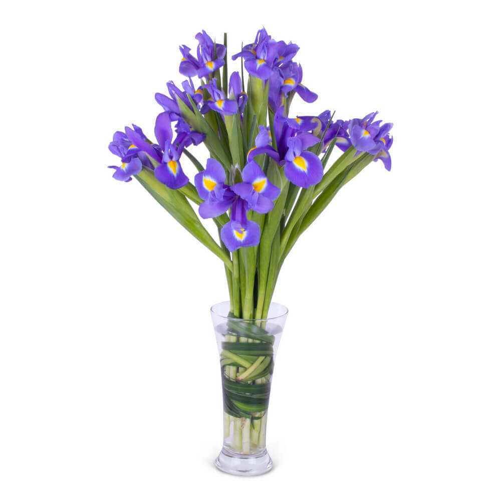 Iris Vase Flower Bouquet