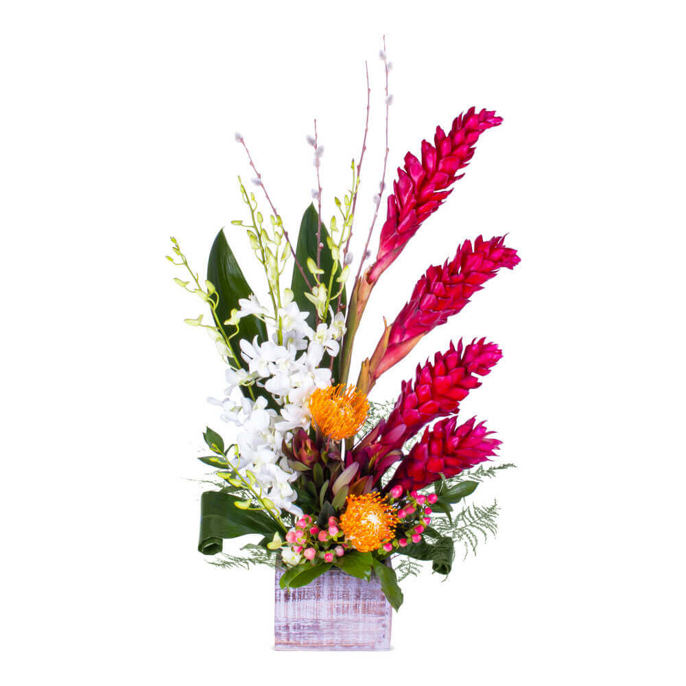 Orchid & Ginger Romance Moon159