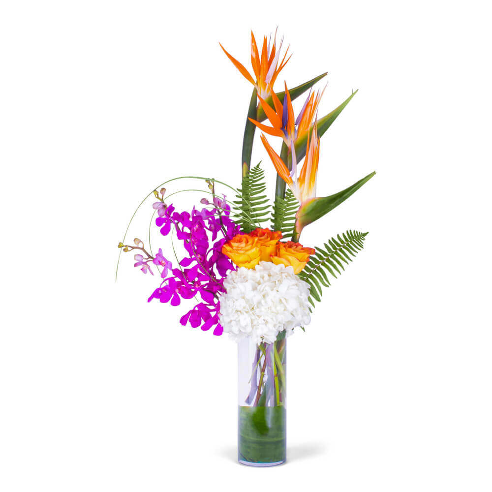 Flying Birds of Paradise