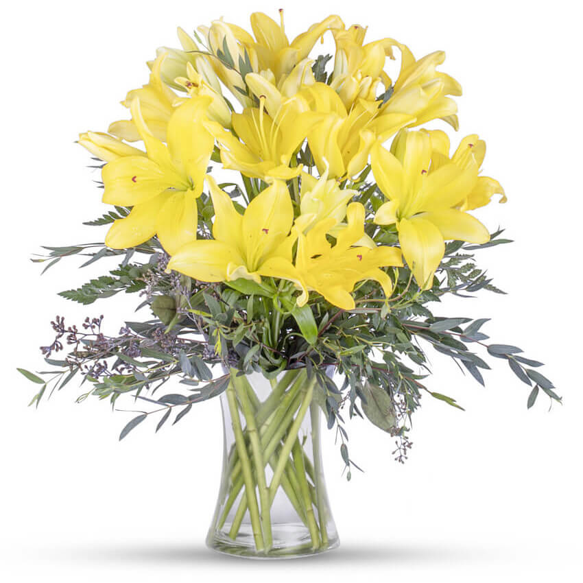 Fabulous Yellow Lilies