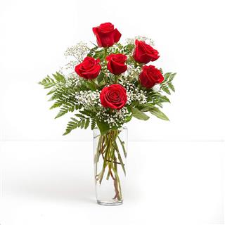 Infatuated - Six Red Roses