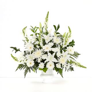 Peace Eternal Tribute