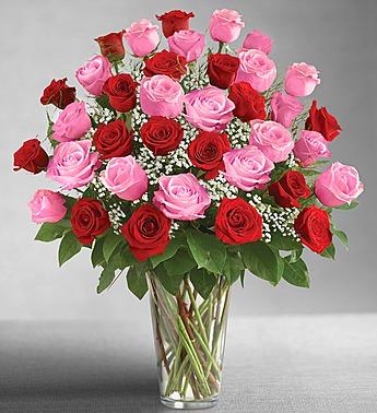 Ultimate Elegance™ Long Stem Pink & Red Roses