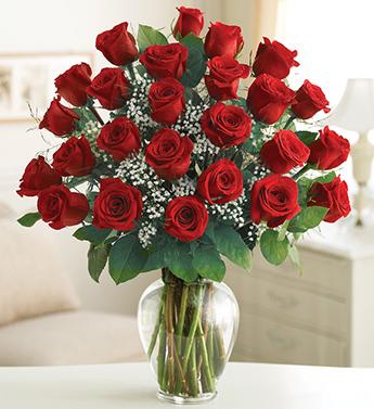 Two Dozen Premium Long Stem Red Roses Flower Bouquet