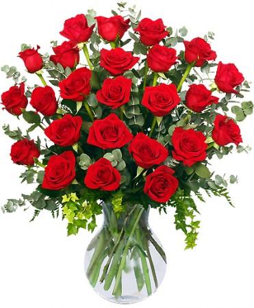 Two Dozen Radiant Red Roses