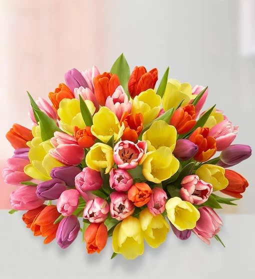 Assorted Tulips: 60 Stems
