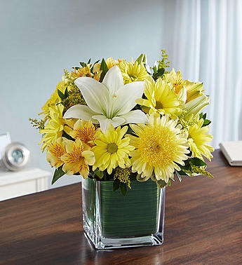 Healing Tears™ Yellow & White