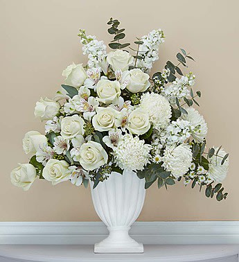 On Angel’s Wings™