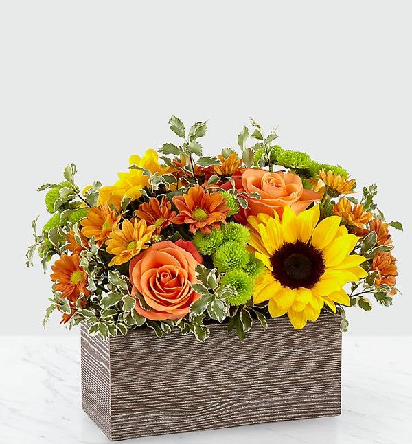 Happy Harvest Garden™