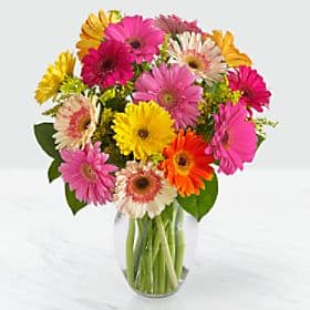 Colorful World Gerbera Daisy Bouquet - 15 Stems - VASE INCLUDED