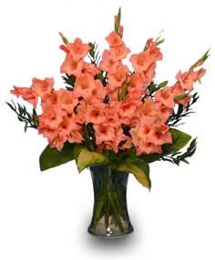 Glorious Gladiolus