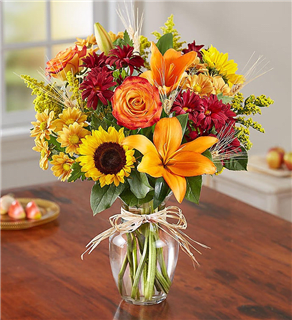 Fields of Europe for Fall