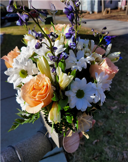 Summer Coastal Breeze