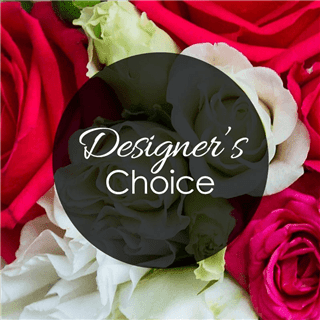 Designers Choice Bqt
