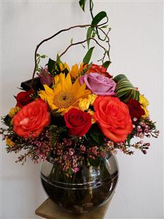 Midnight Thought in bubble bowl w/tinted water