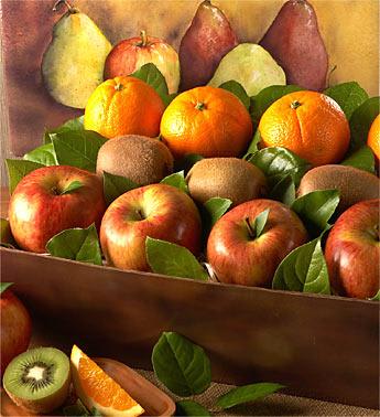 Arbor Harvest Medium Fruit Gift Basket 