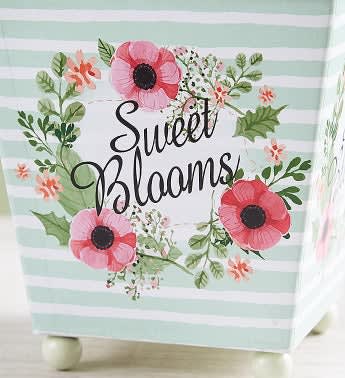 Sweet Blooms Calla Lily
