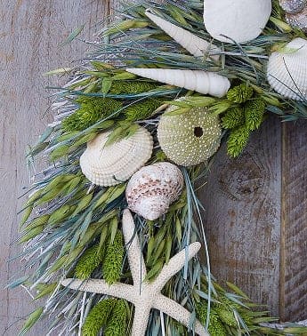 Preserved Seaside Wreath 16"
