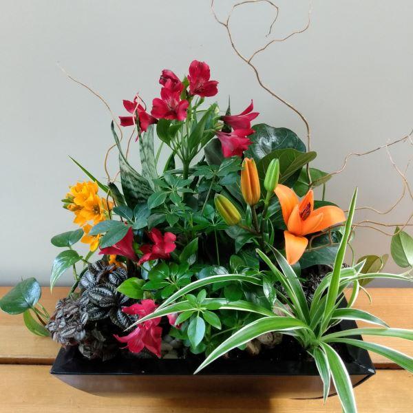 Tropical Plants and Flowers Combination Arrangement