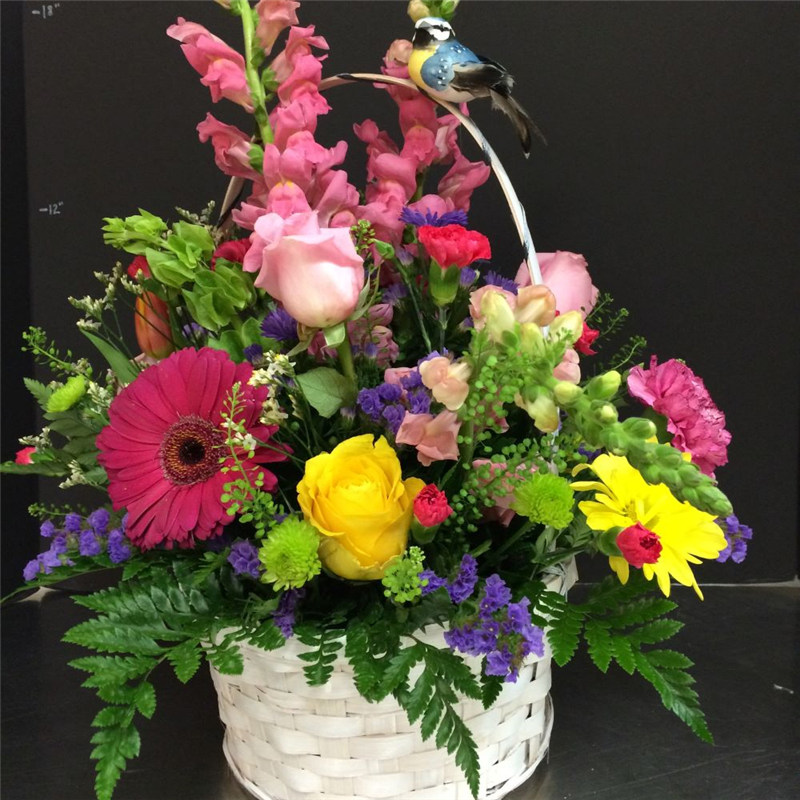 Get Well Flower Delivery Plantation Flower Designs & Gifts The