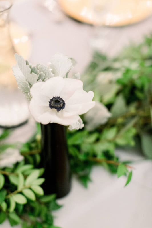 Miranda &amp;amp; Jarad