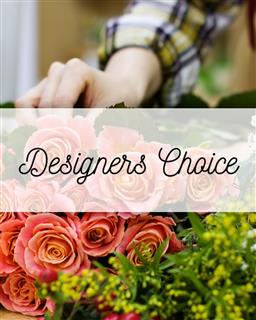 Designer's Choice:  Starting at