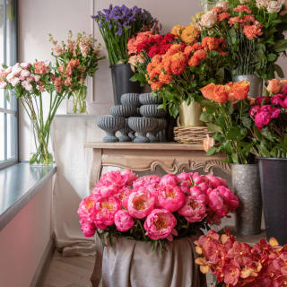 Flowers For All Occasions