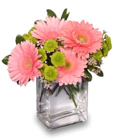 Fruit Sorbet Flower Bouquet