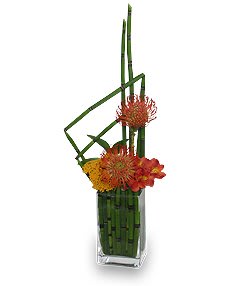 High Style Horsetail