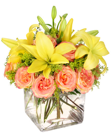 HAVE A LOVELY DAY!