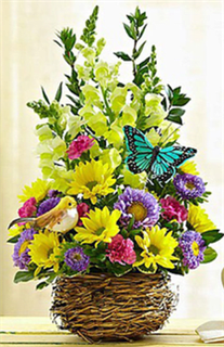 Bird's Nest   Basket