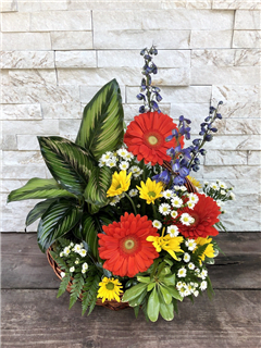 Plant and Flower Basket Flower Bouquet