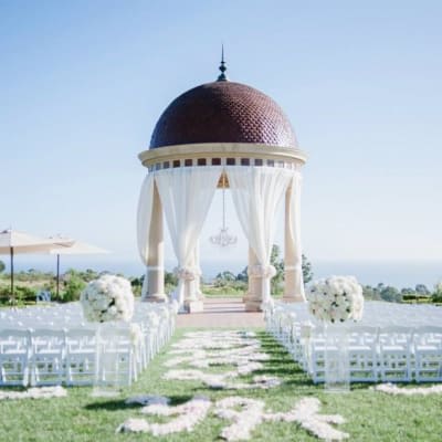 Our Photo Gallery | Fanny's Flowers