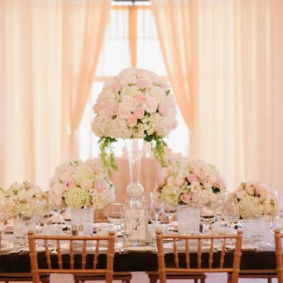 Our Photo Gallery | Fanny's Flowers