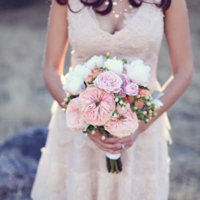 Our Photo Gallery | Fanny's Flowers