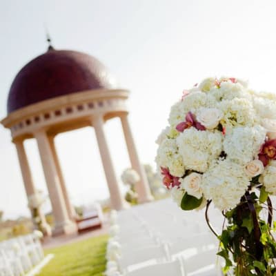 Our Photo Gallery | Fanny's Flowers