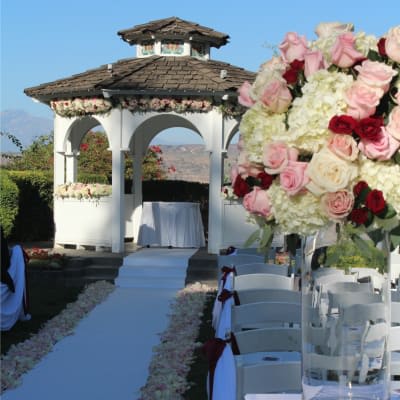 Our Photo Gallery | Fanny's Flowers