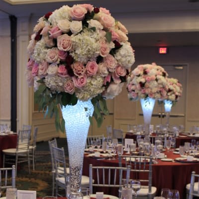 Our Photo Gallery | Fanny's Flowers