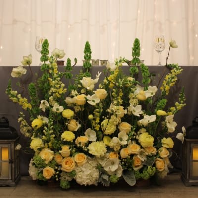 Our Photo Gallery | Fanny's Flowers