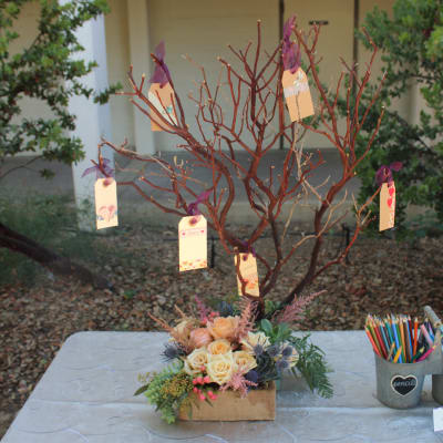 Our Photo Gallery | Fanny's Flowers