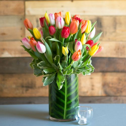 Tulip Treasure by Fanny's Flowers
