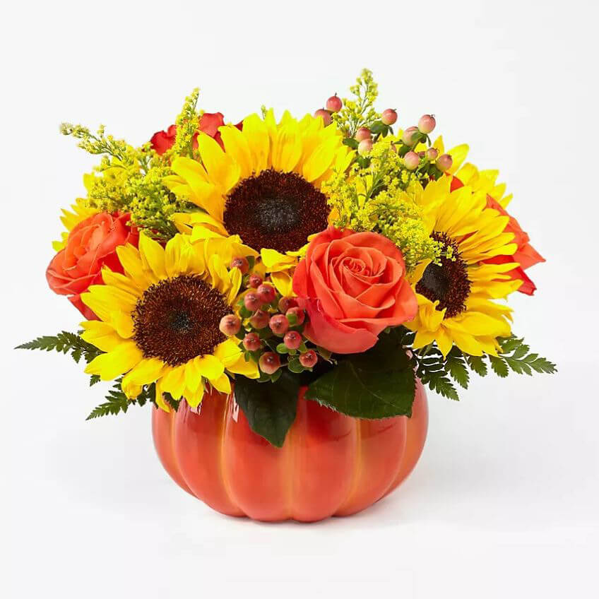 Harvest Traditions Pumpkin