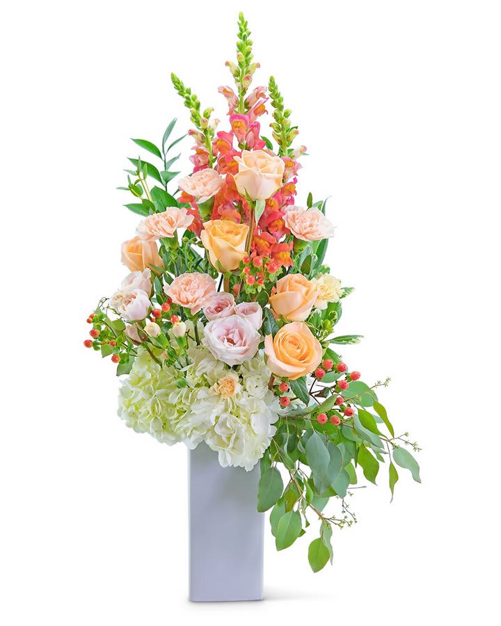 Sorbet Garden